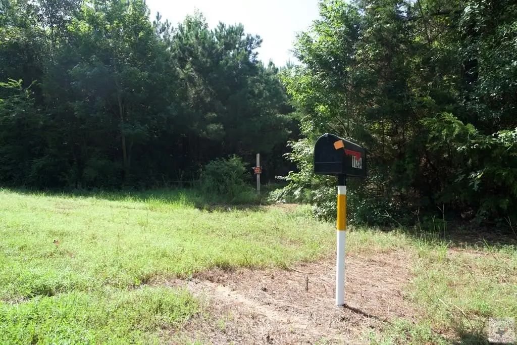 Picture 10