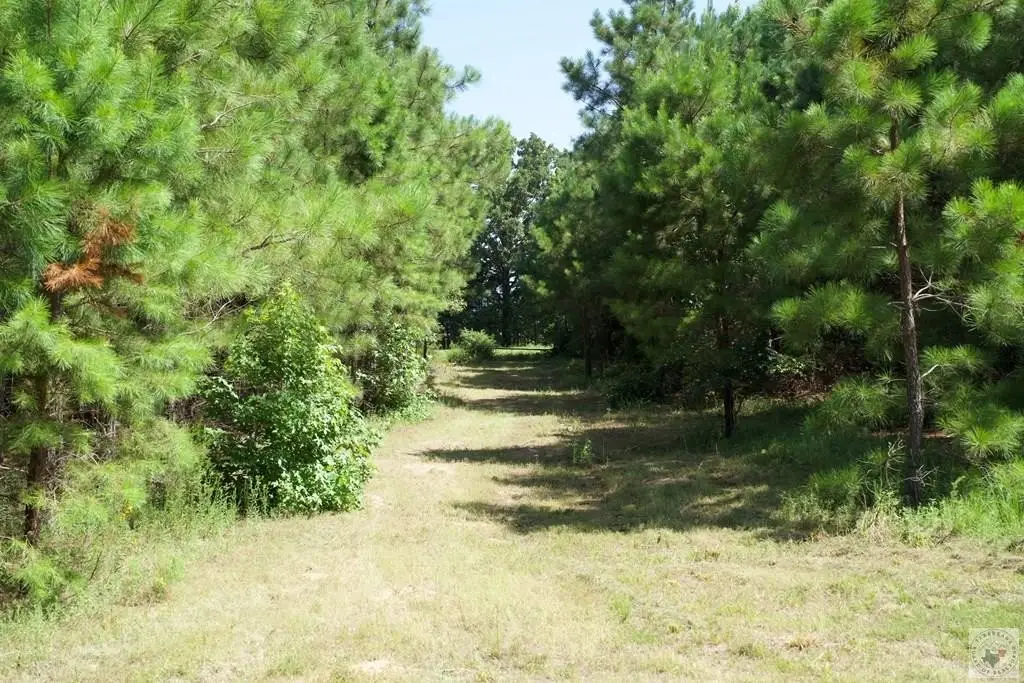 Picture 29