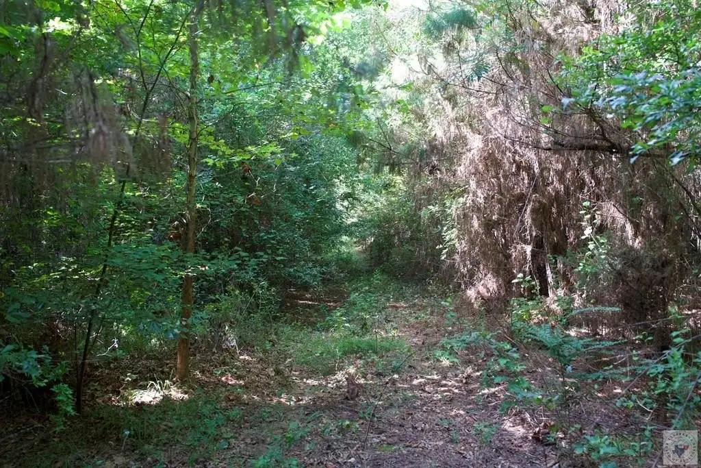Picture 23
