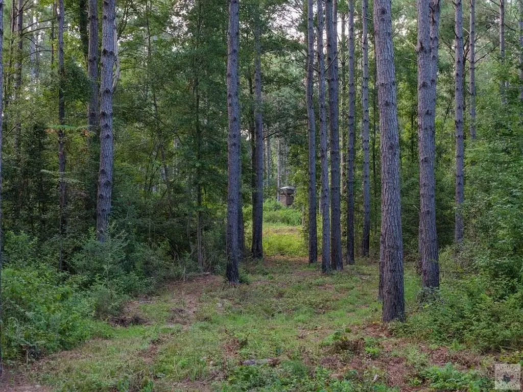 Picture 29