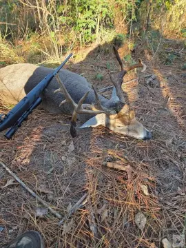 Managed Timber Hunting Land