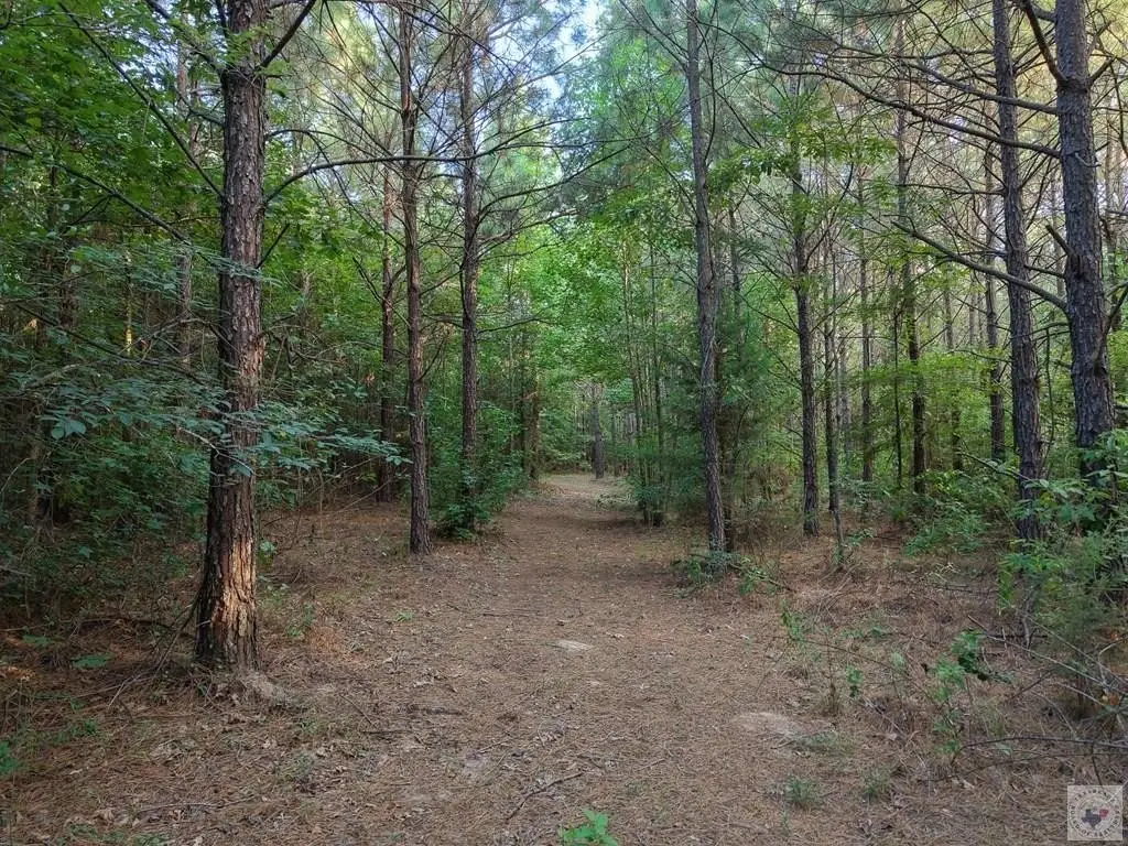 Picture 23