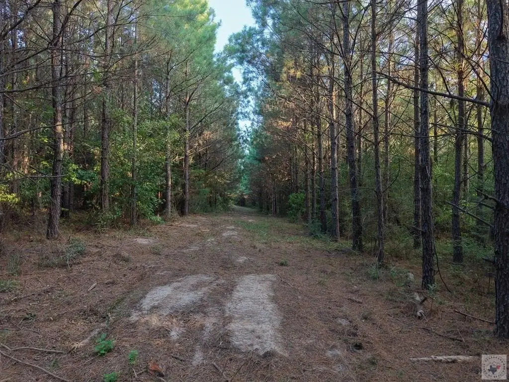 Picture 45