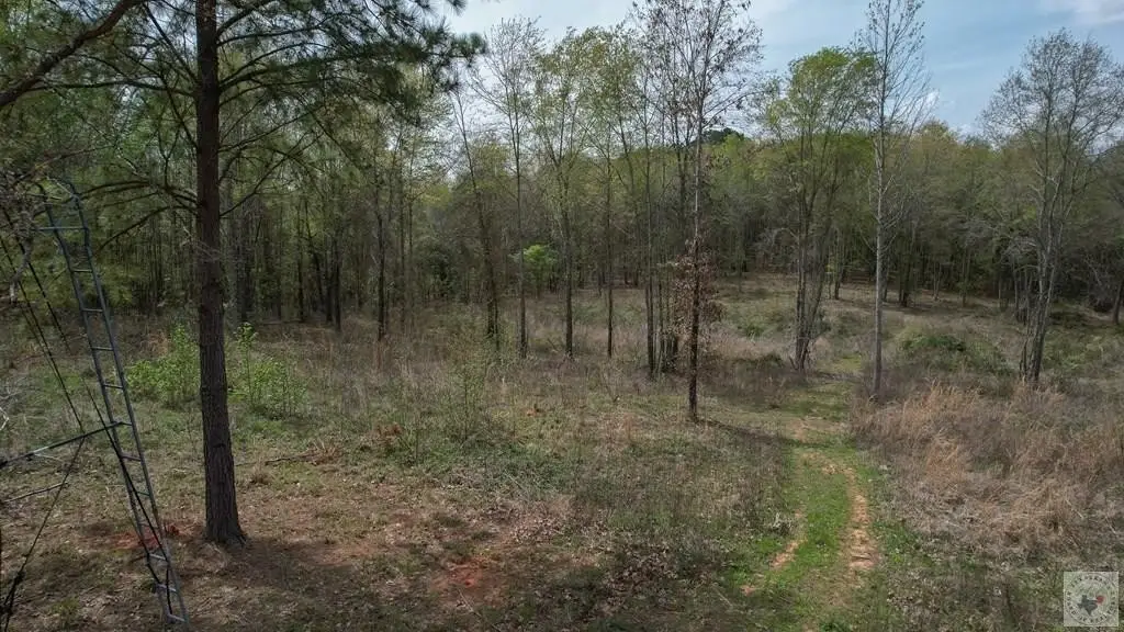 Picture 4
