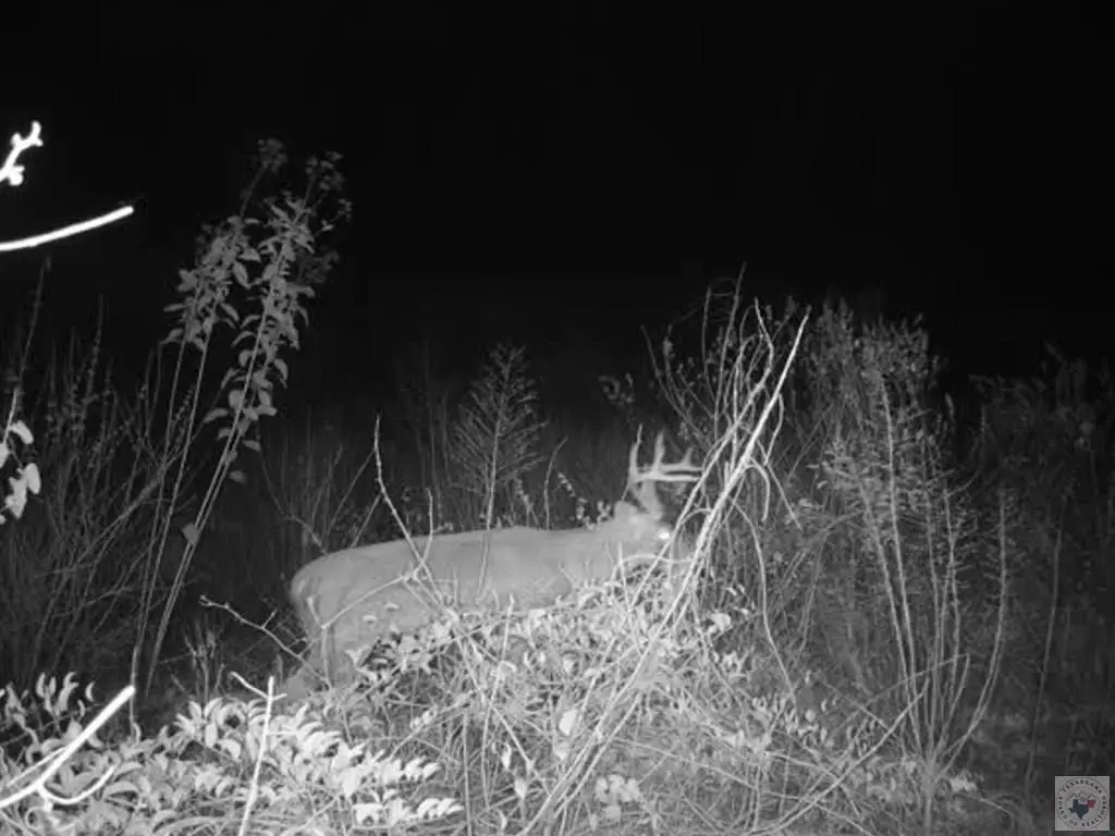 Picture 34