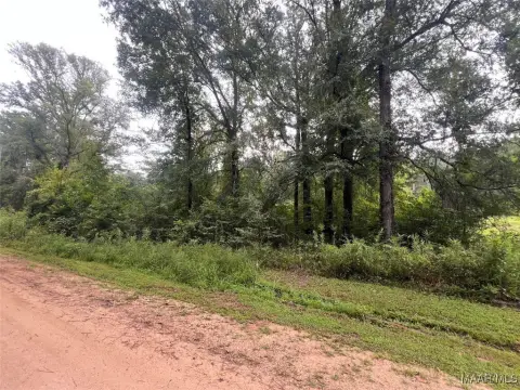 Almost 18 Acres in Prattville