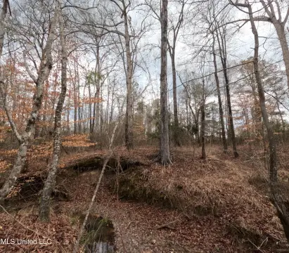 Hunter's Getaway in Simpson County