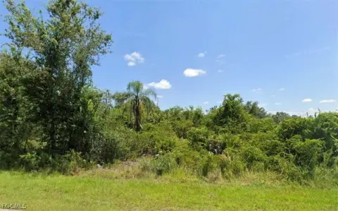 Residential Lot in Punta Gorda