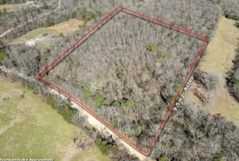Gillham, AR Timberland Opportunity