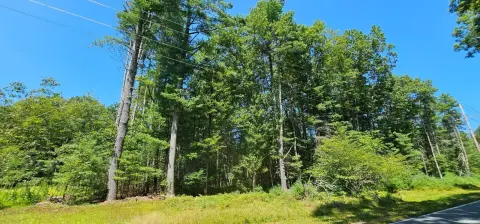 Large Wooded Land Parcel