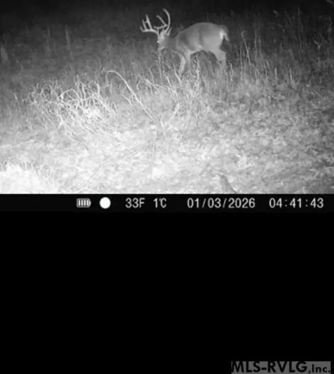 Picture 3