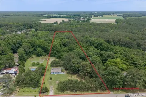 Residential Land Parcel With Wooded Privacy