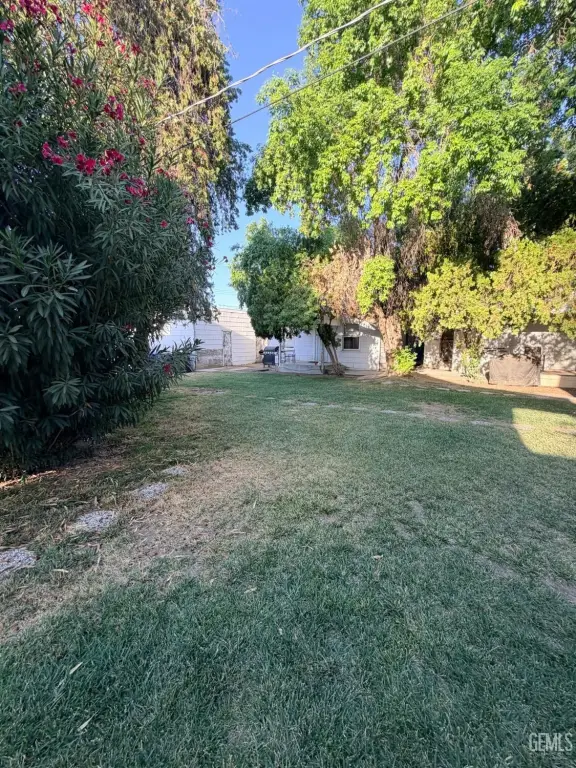 Picture 18