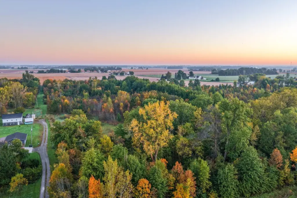Picture 24