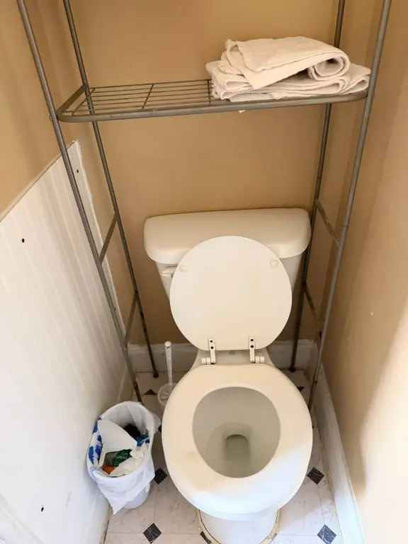 Picture 17
