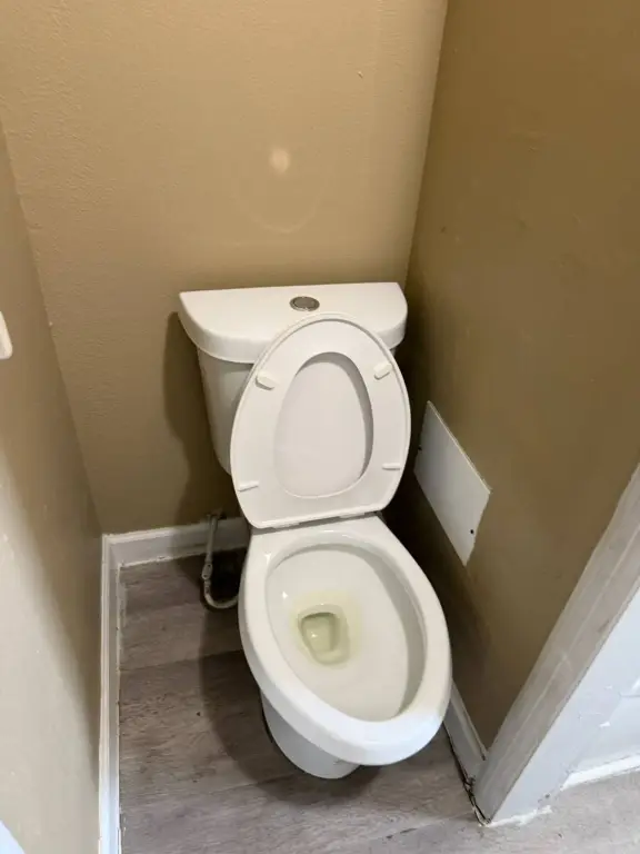 Picture 37