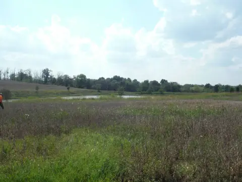Agricultural Land with Pond