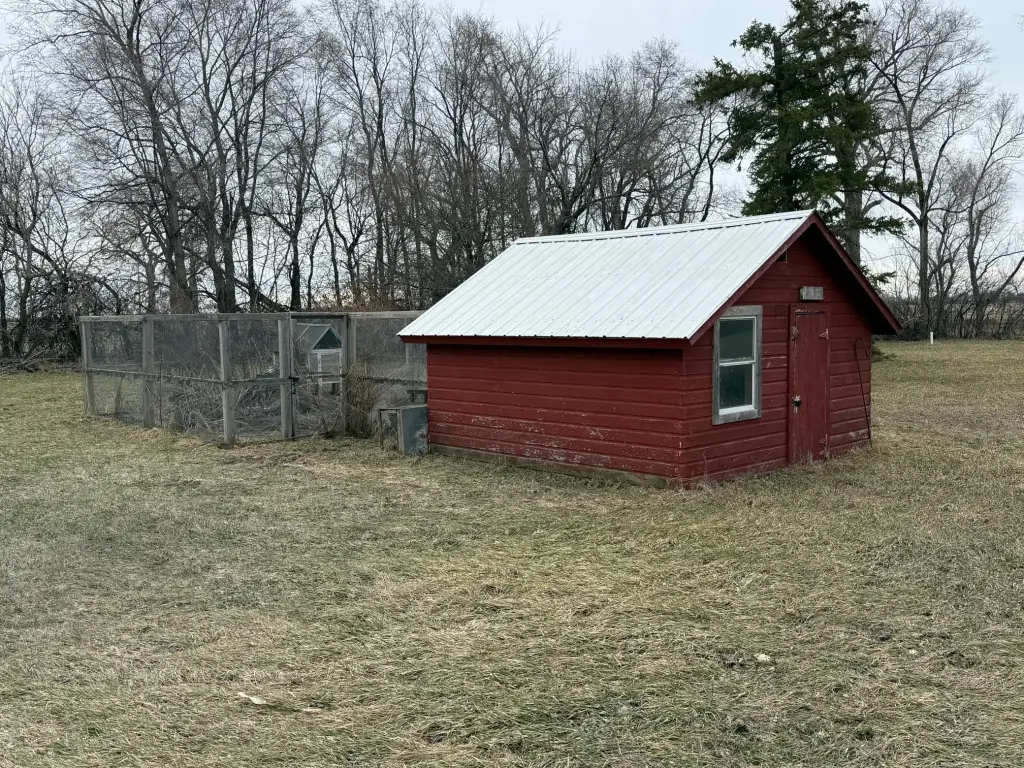 Picture 11