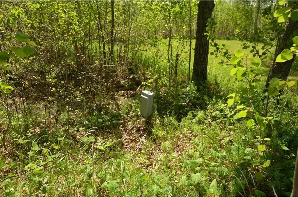 Picture 21