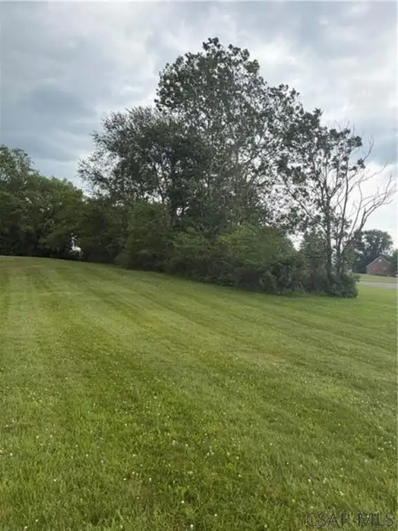 Picture 2