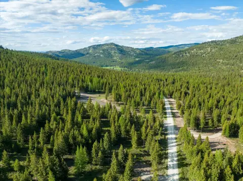 Scenic Land Near National Forest