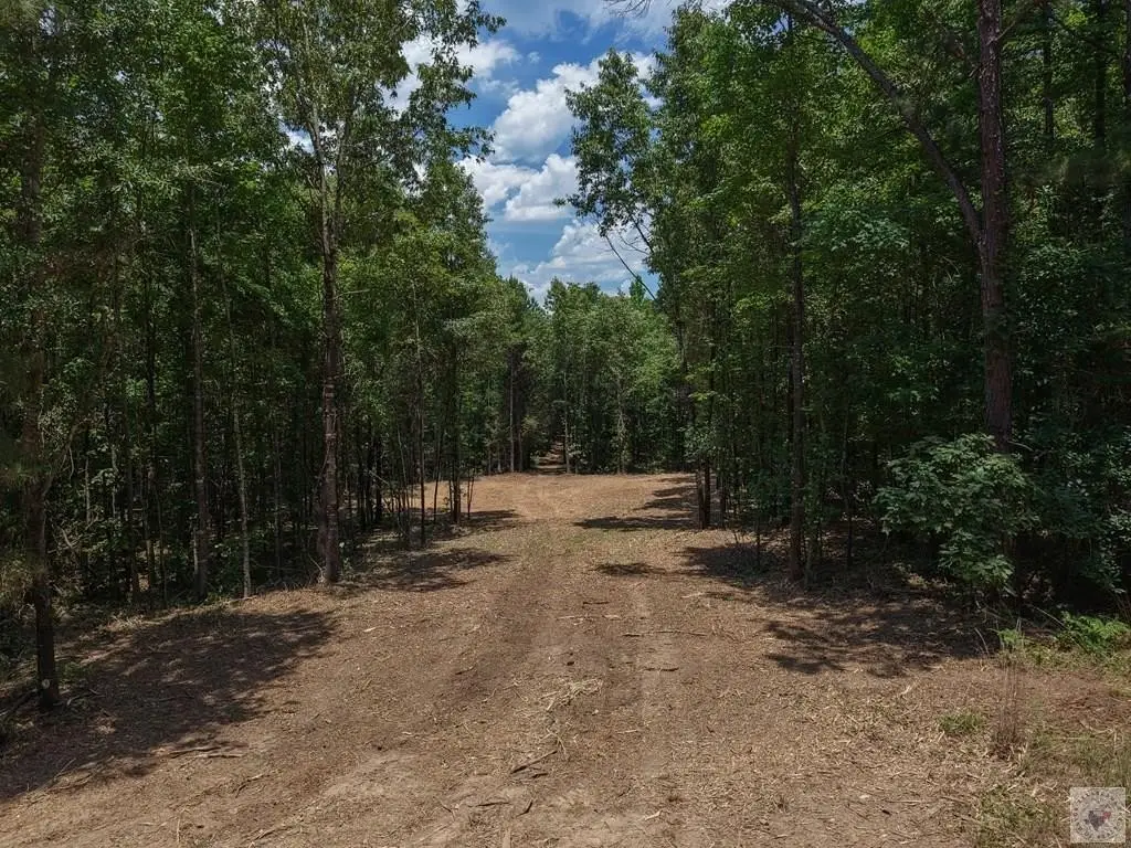 Picture 3