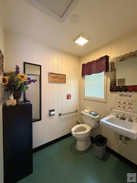 Picture 6
