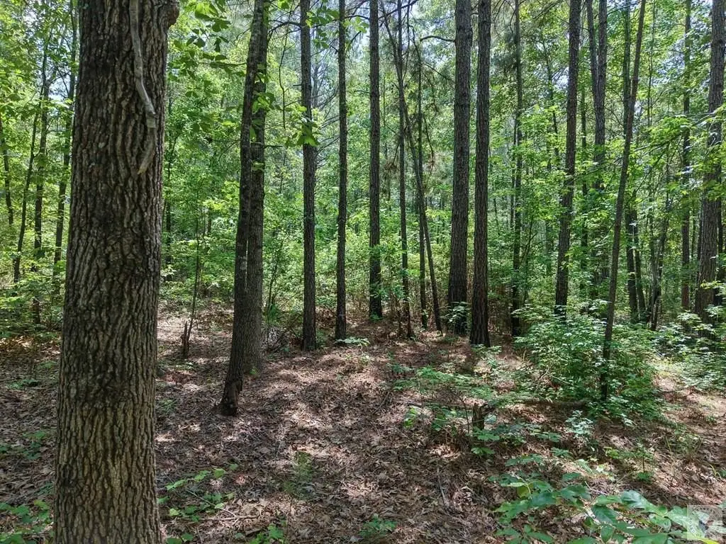 Picture 16