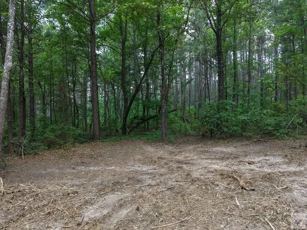 Picture 15
