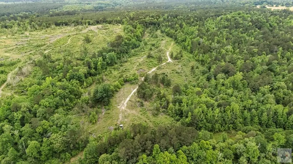 Picture 25