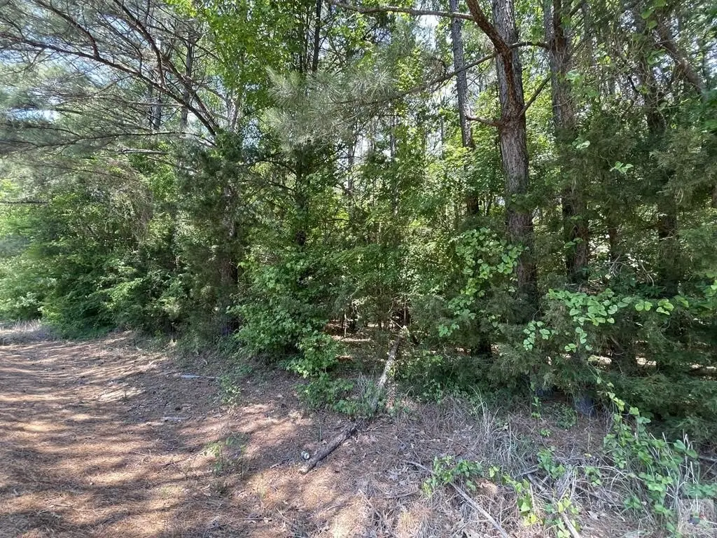 Picture 3