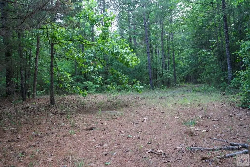 Picture 23