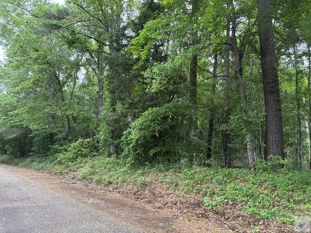Picture 20