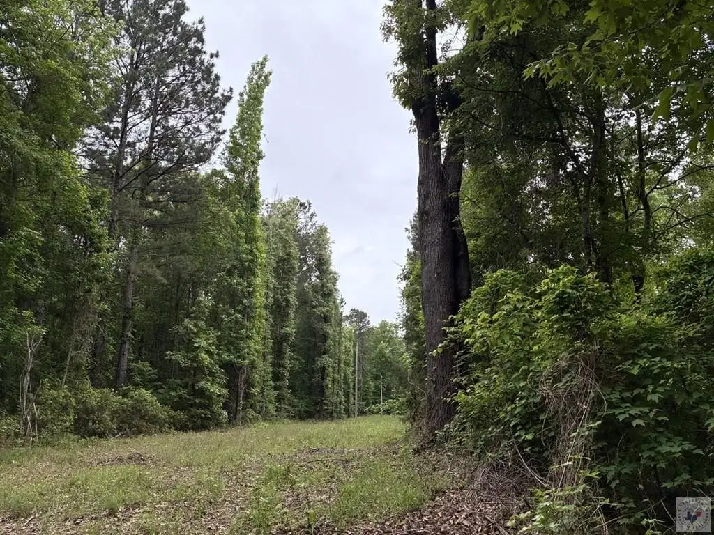 Picture 18