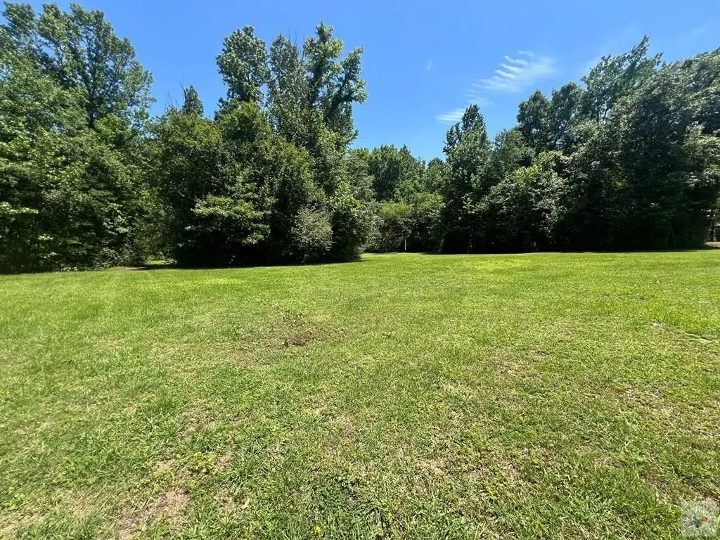 Picture 11