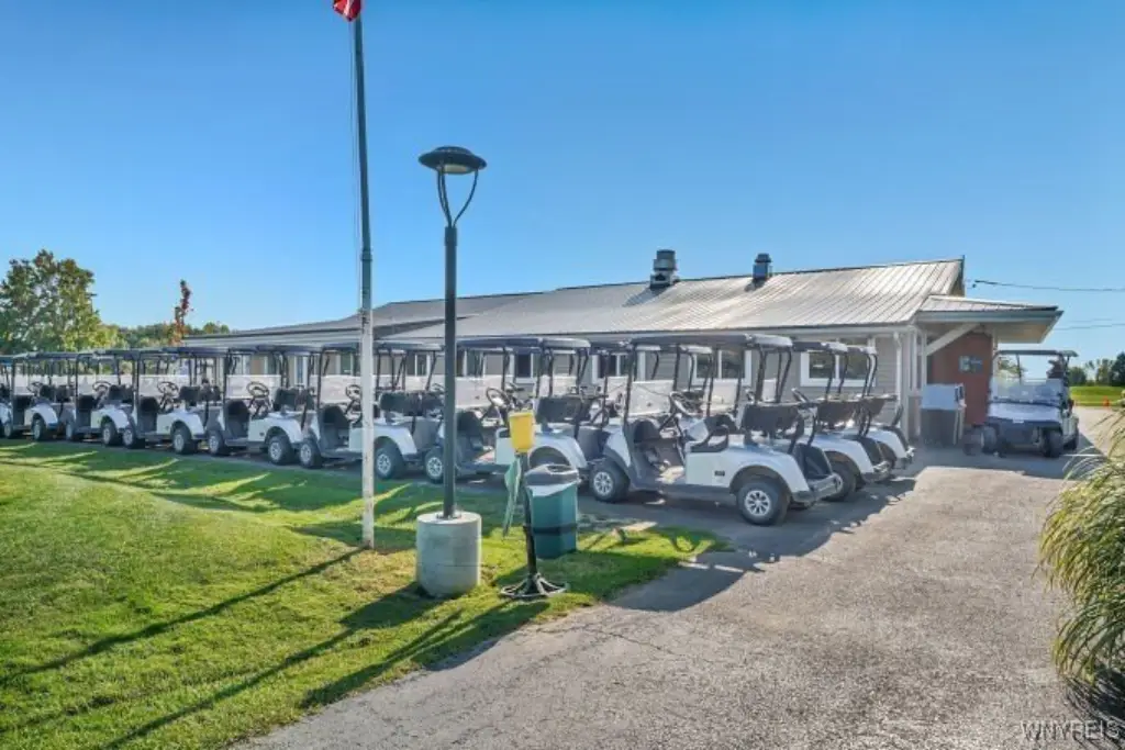 Picture 6