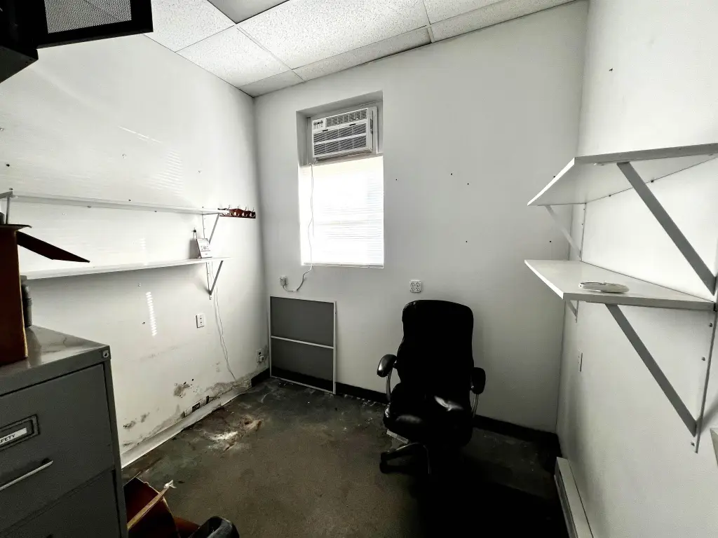 Picture 11