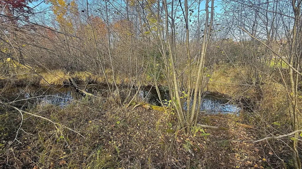 Picture 21