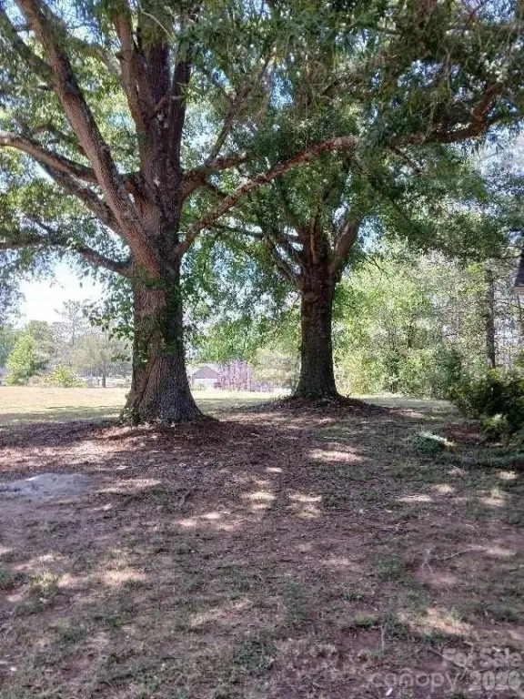 Picture 7