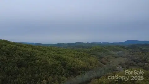 Land Parcel Borders National Forest