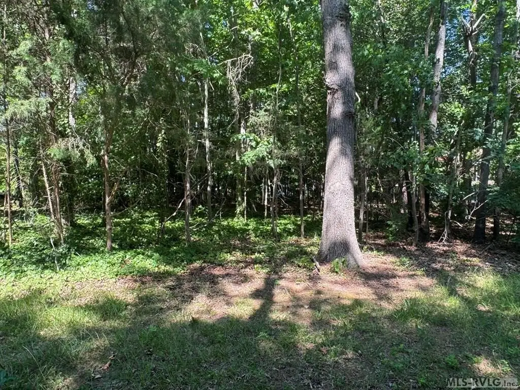 Picture 20