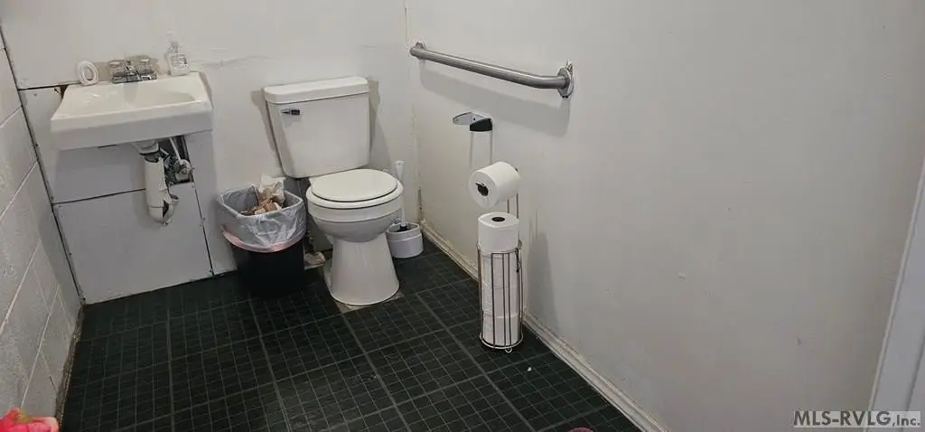 Picture 8