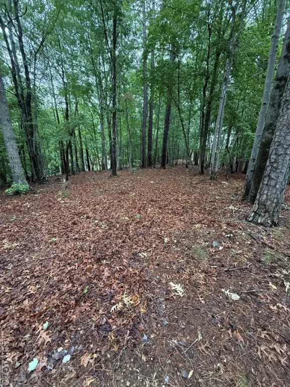 Picture 22