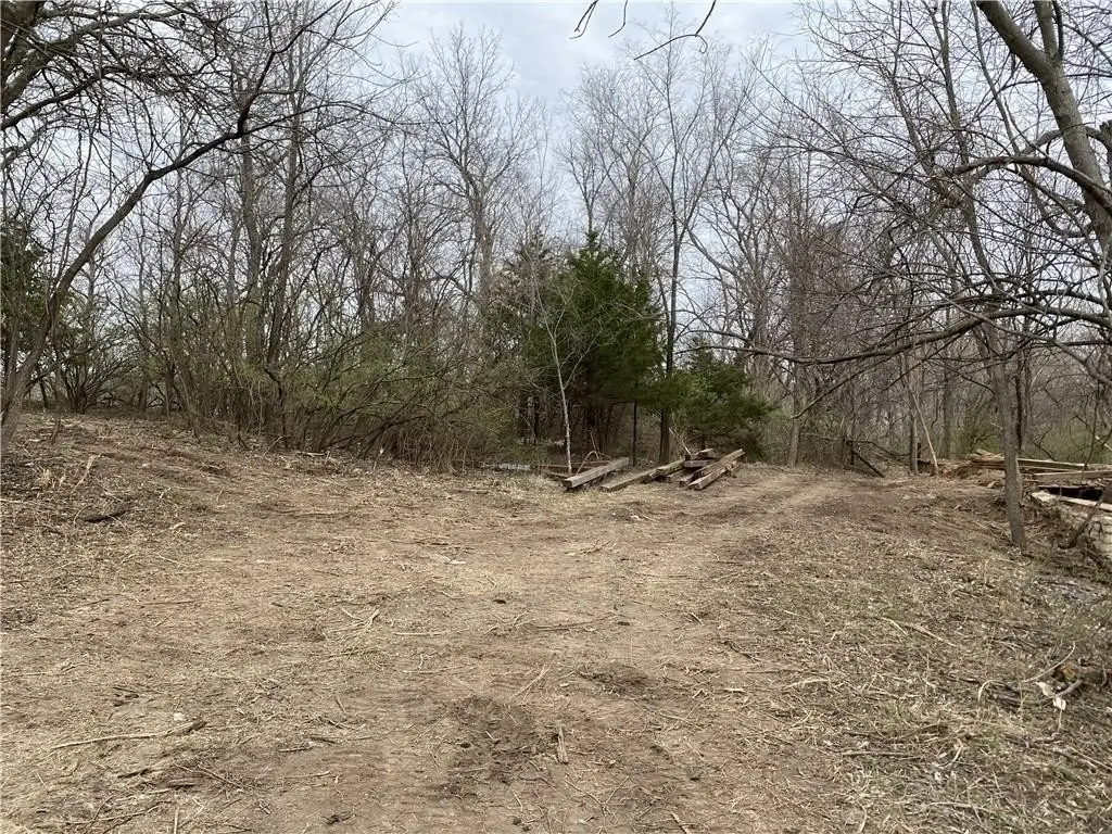 Picture 16
