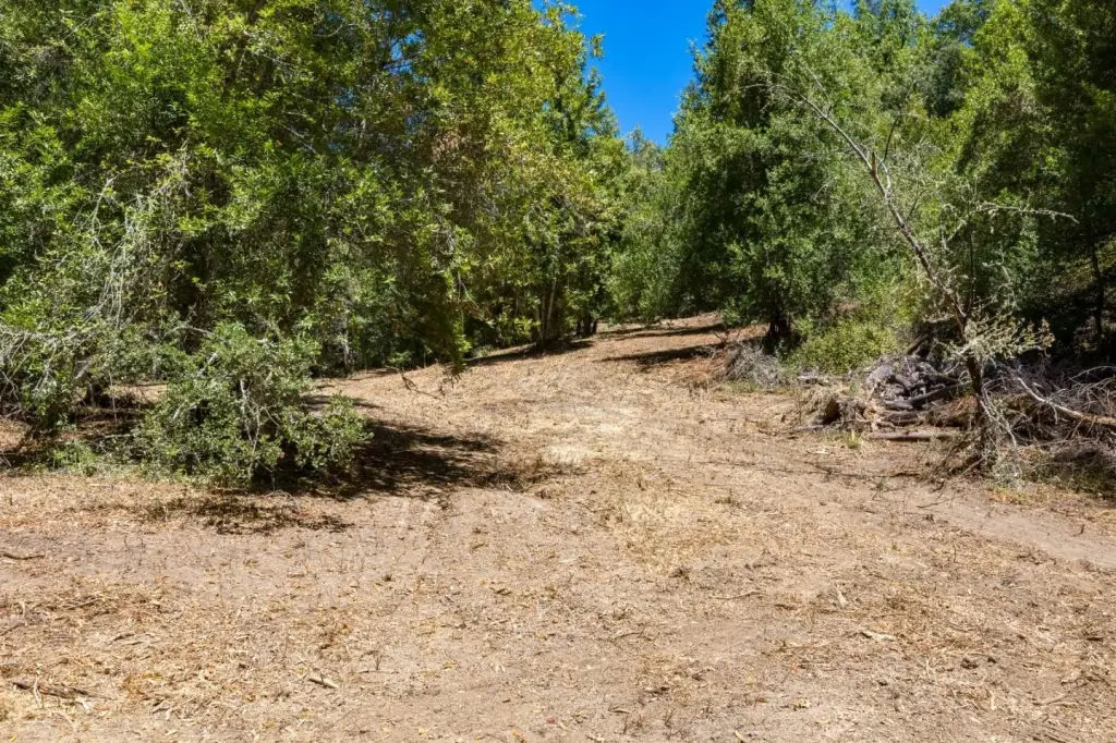 Picture 21