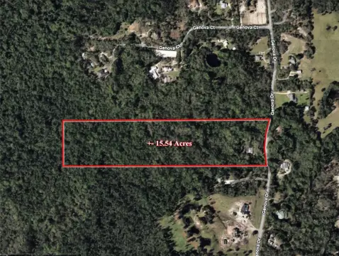 Expansive Oviedo Land Opportunity
