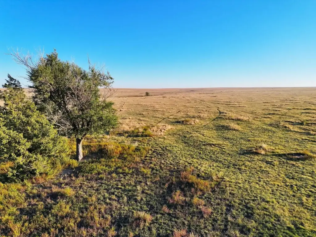 Picture 11