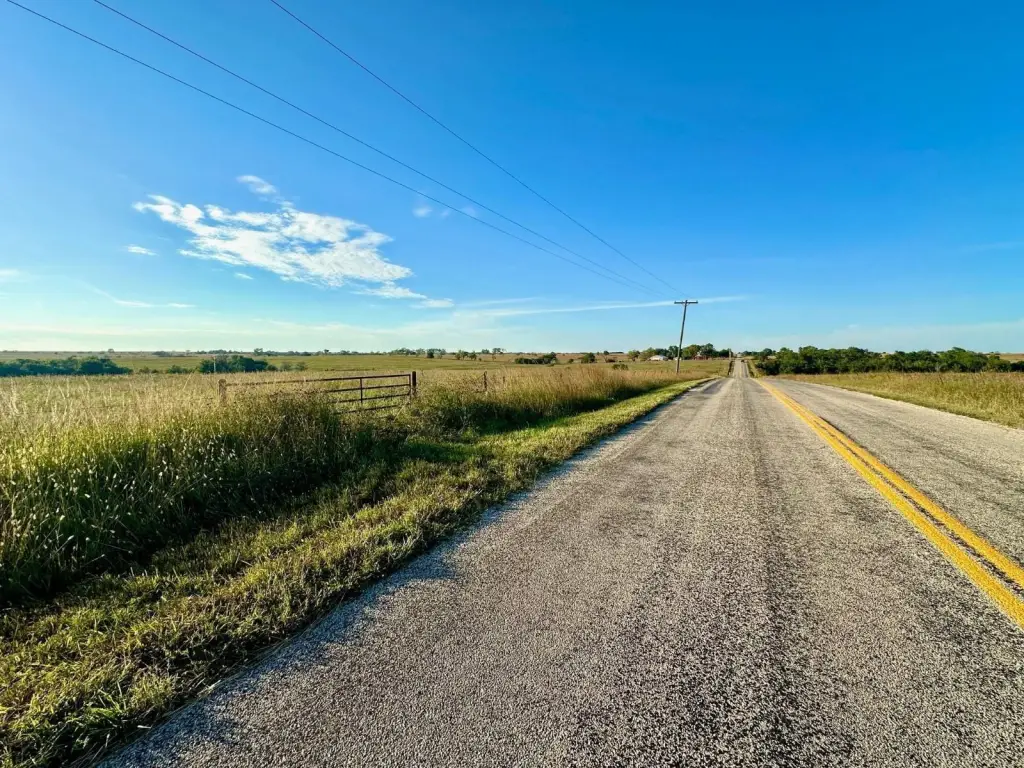Picture 65