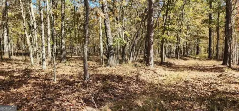 44.73 Acres in Rome, GA