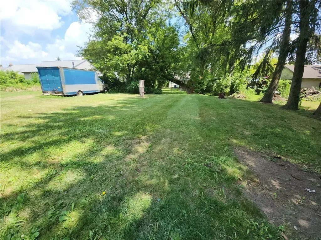 Picture 6